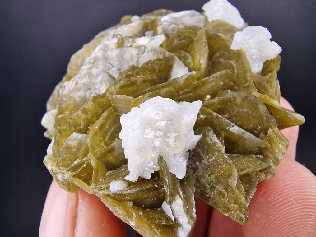 Siderite Dolomite Top - senza danni - Altezza: 60 mm - Larghezza: 55 mm- 144 g - (1) #2.1