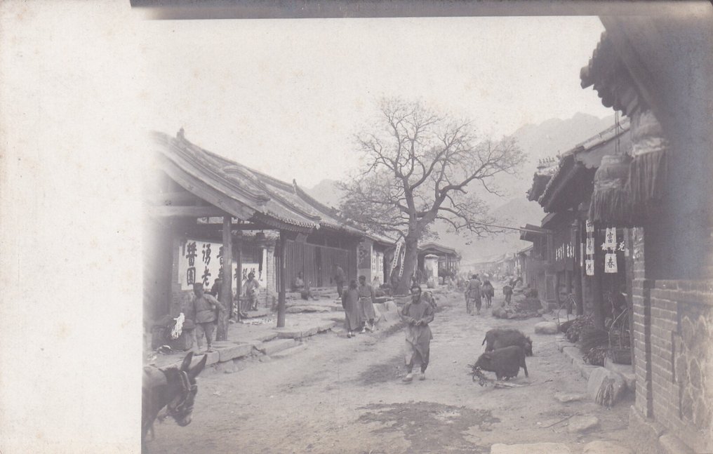 Ιαπωνία (7x) - ΜΟΝΑΔΙΚΑ ΦΩΤΟΚΑΡΤΕΣ - ΣΕΙΡΑ - Καρτ-ποστάλ - 1910-1920 #3.2