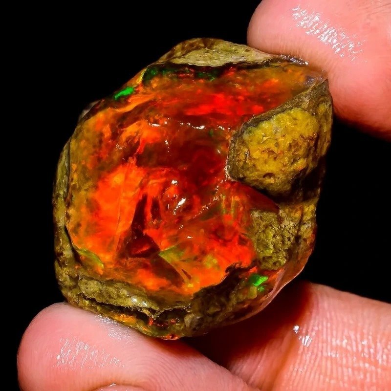 Opal Foc brut multicolor de 62,5 Ct – Explozie de Foc Natural. Foarte rar!- 12.5 g #4.3