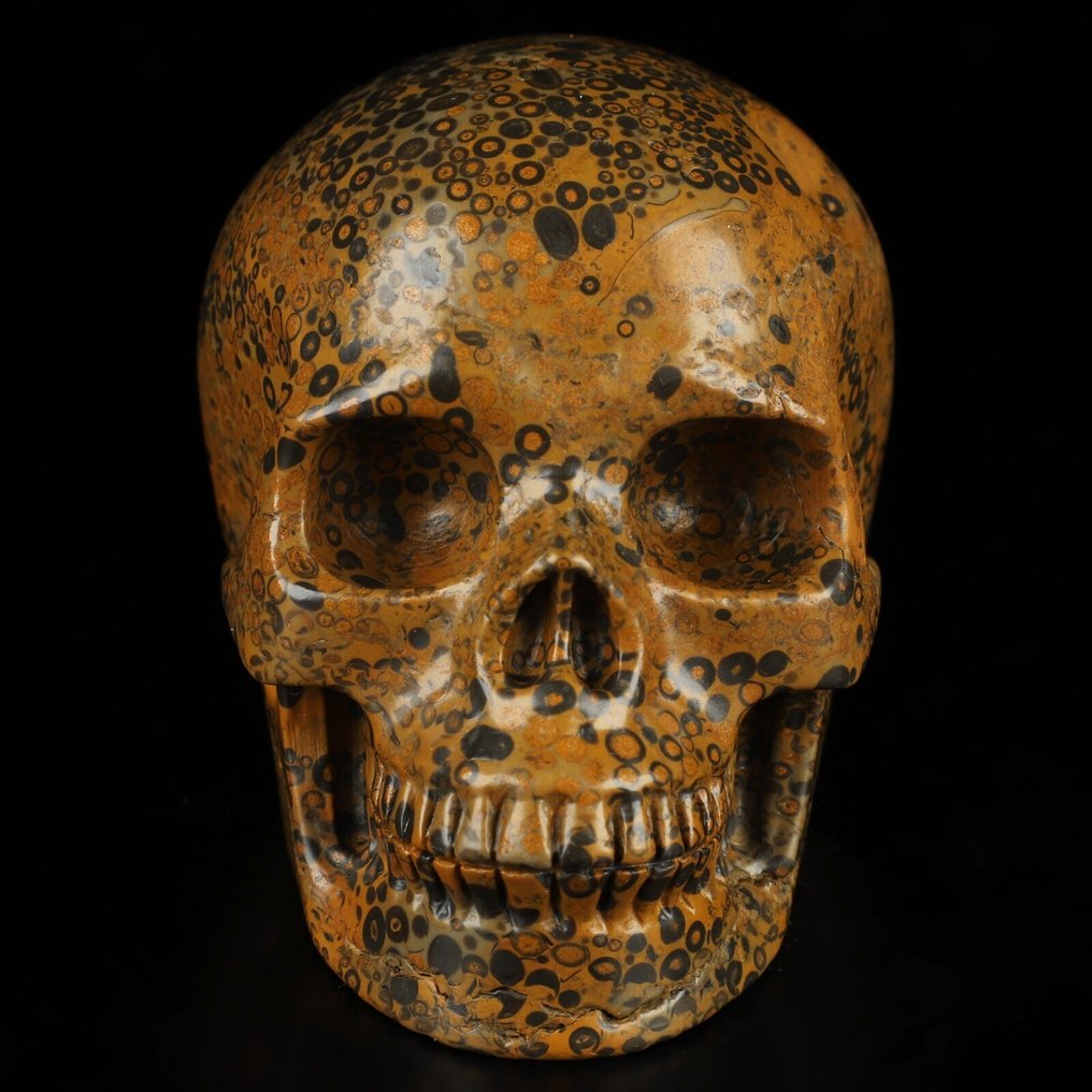 Jasper 678 g 9,80 x 7,50 cm Mexikói AA Jasper Magic Műalkotás sámánikus leopárd bőr Jasper- 678 g #1.0