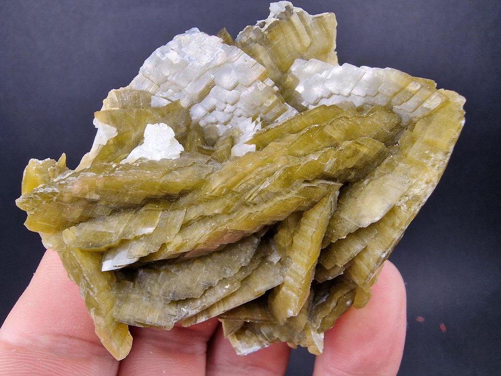 Siderite Dolomite顶部 - 无损坏 - 高度: 65 mm - 闊度: 60 mm- 150 g - (1) #1.0