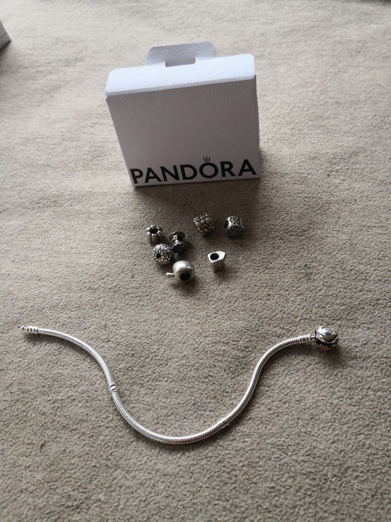 没有保留价 - Pandora - 魅力手链 银 #1.0