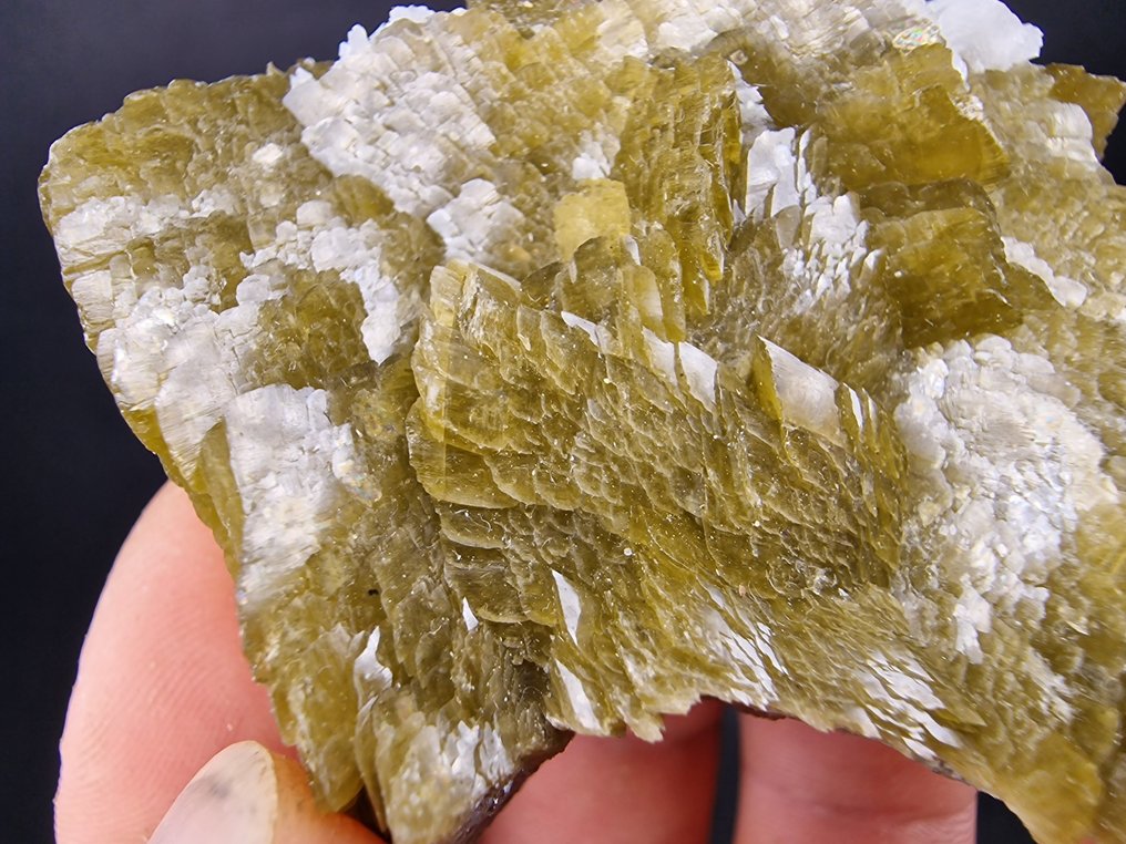 Siderite Dolomite top - not damage - Height: 60 mm - Width: 50 mm- 145 g - (1) #2.1