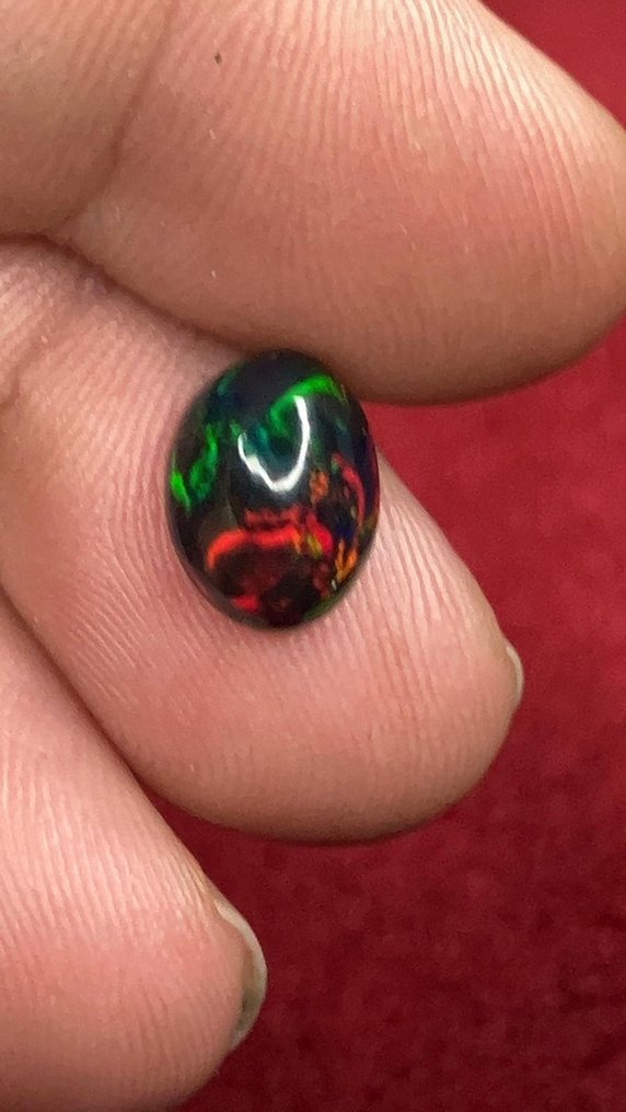 Οπάλιο Negro de Fuego Multicolor AAA+++ Πολύ σπάνιο! - 2Ct- 0.4 g #4.3