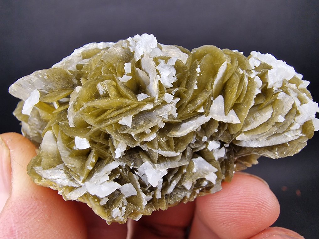 Siderite Dolomite top - not damage - Height: 75 mm - Width: 55 mm- 176 g - (1) #4.3