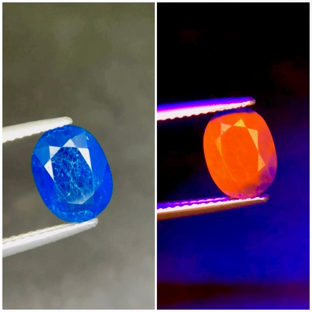 χωρίς τιμή ασφαλείας - 1 pcs  Μπλε Διάφοροι πολύτιμοι λίθοι  - 1.65 ct - Διεθνής Ένωση Έγχρωμων Πολύτιμων Λίθων (ICA GemLab) - Φυσικό Hauyne #1.0