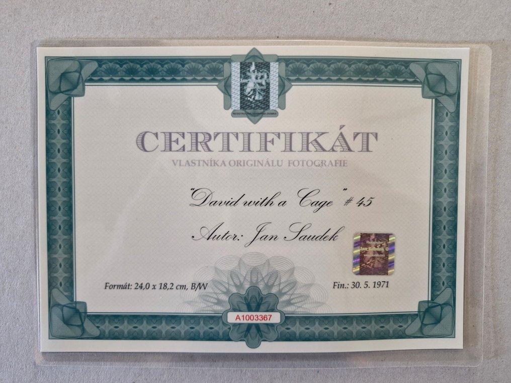 Jan Saudek (1935–) - David with a Cage #3.2