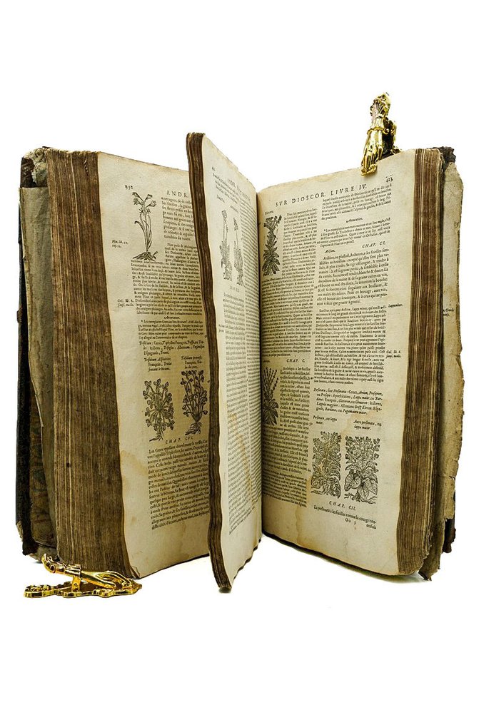 Pierre André Matthiole - Les commentaires de M. Pierre André Matthiolus médecin sienois - 1565 #1.0