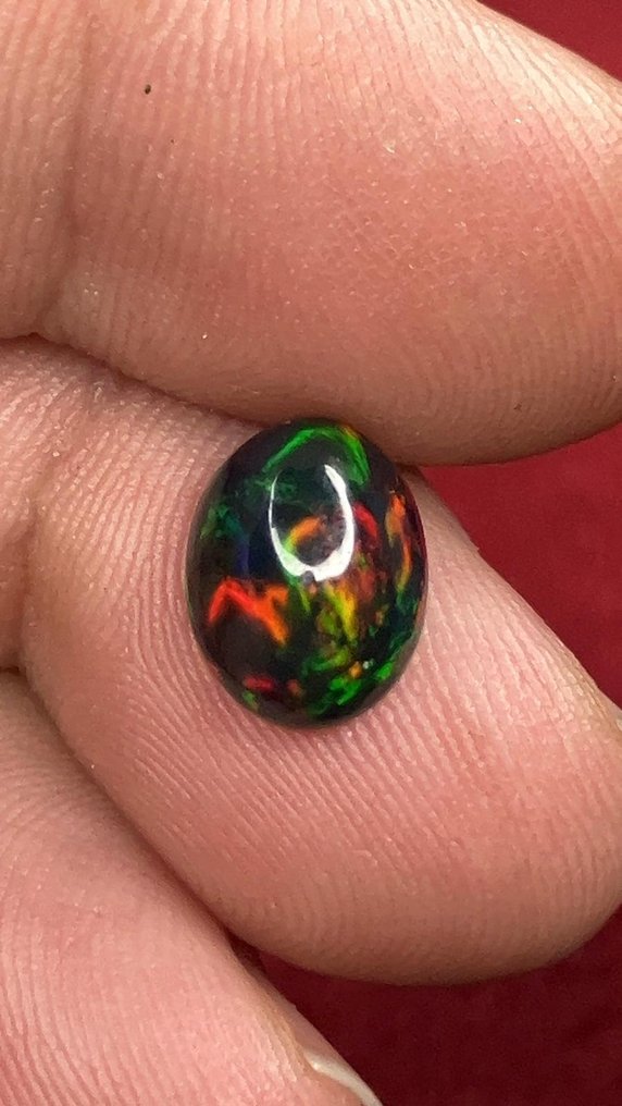Οπάλιο Negro de Fuego Multicolor AAA+++ Πολύ σπάνιο! - 2Ct- 0.4 g #1.0