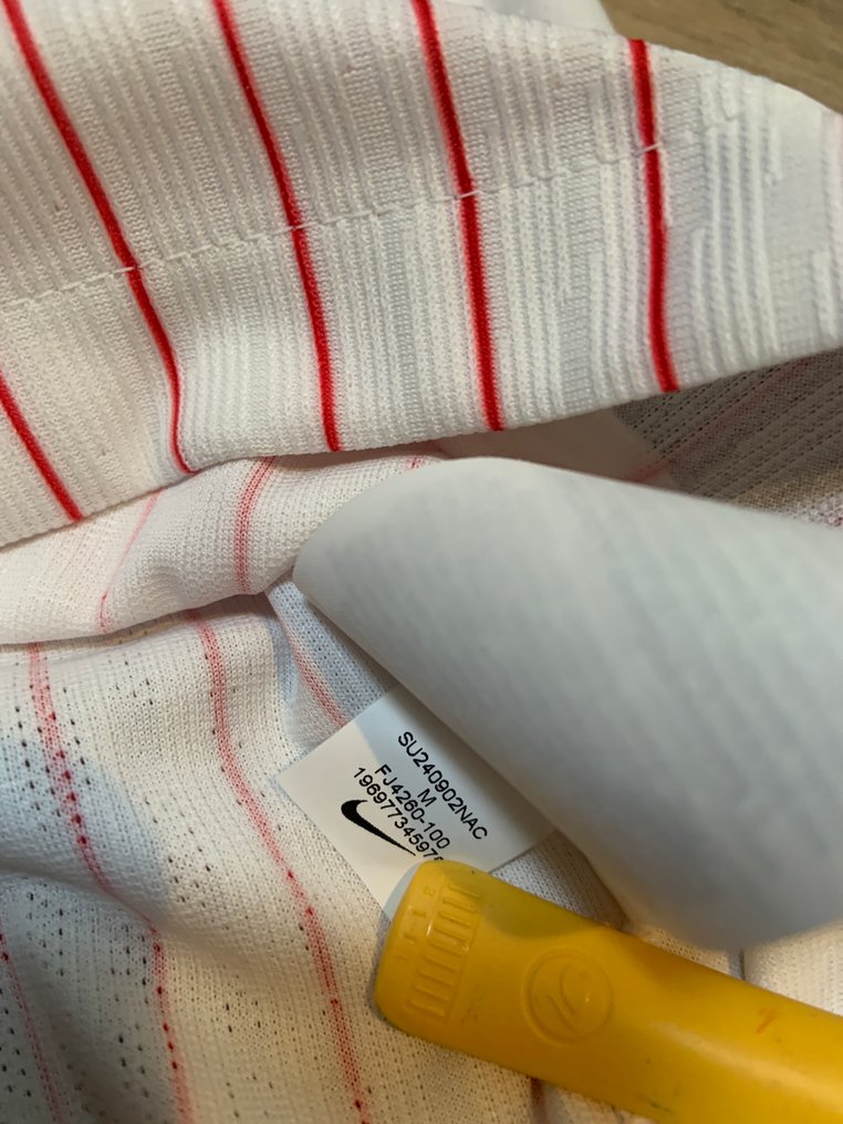 Frankrijk - Antoine Griezmann - 2024 - 足球衫 #2.1