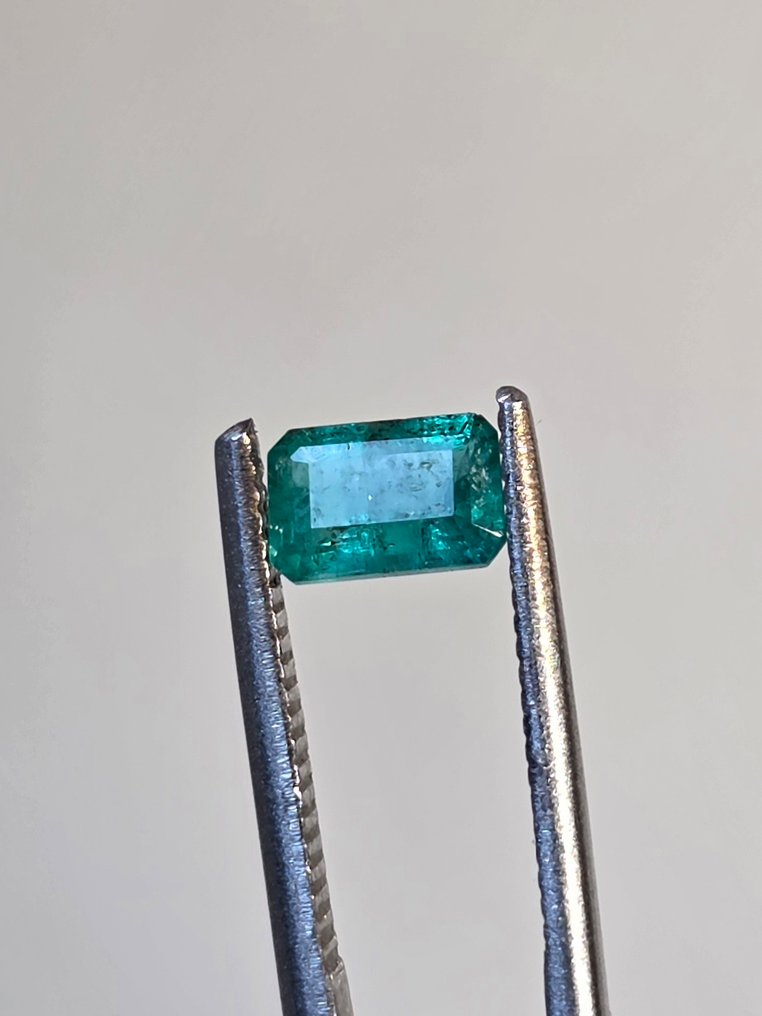 没有保留价 绿色 祖母绿  - 0.53 ct - 西班牙宝石学院（IGE） #3.2