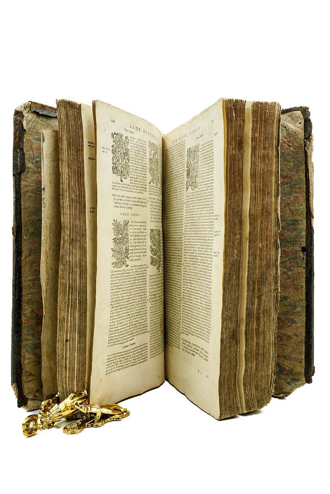 Pierre André Matthiole - Les commentaires de M. Pierre André Matthiolus médecin sienois - 1565 #2.1