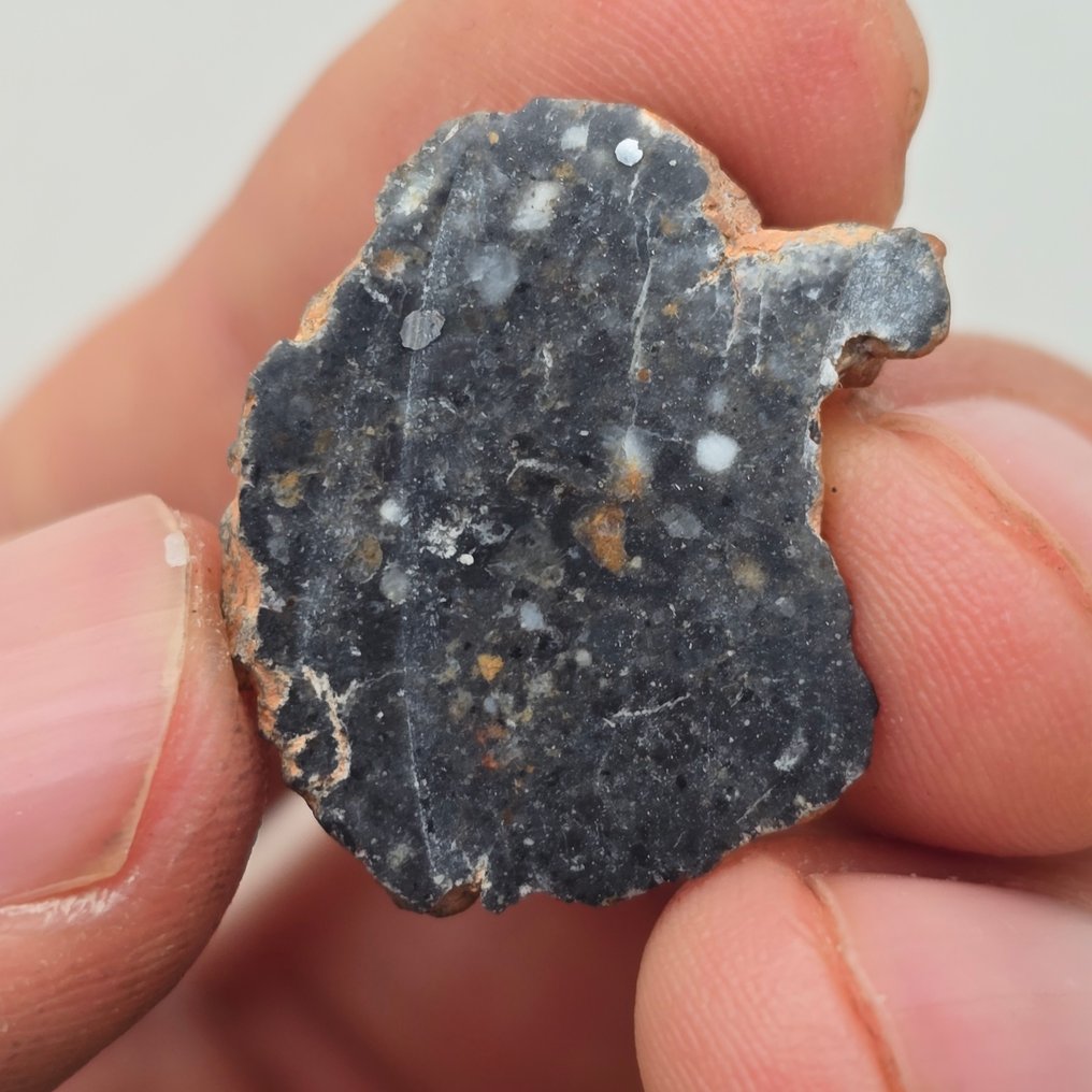 Lunar Meteorite Bechar 003. Endcut. Großes Oberflächen-/Massenverhältnis. KEIN RESERVE!! Feldspathic Breccia - 2.8 g #3.2