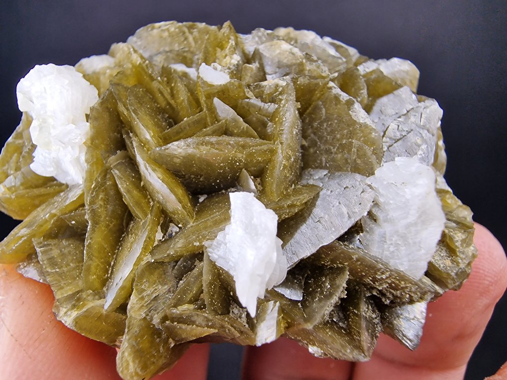 Siderite Dolomite Top - senza danni - Altezza: 60 mm - Larghezza: 55 mm- 144 g - (1) #4.3