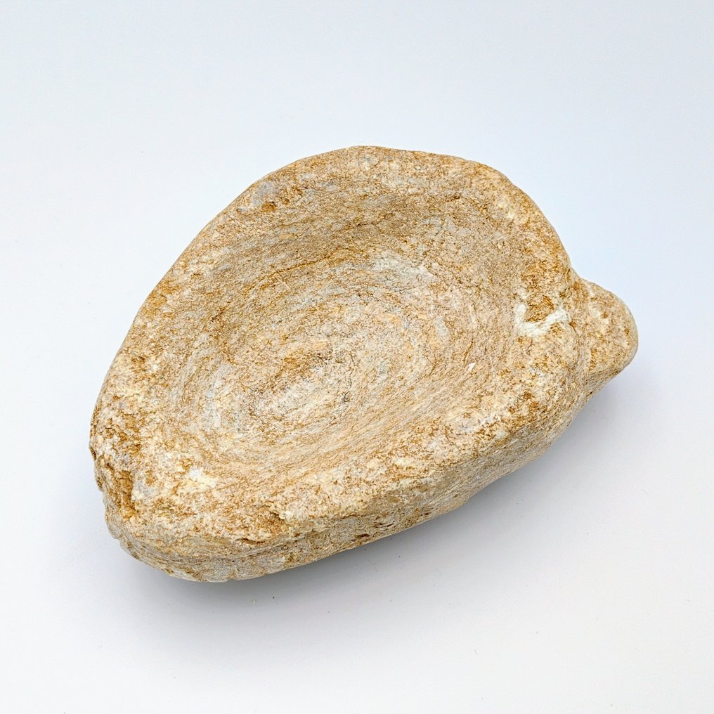 中-西伯利亚 砂岩 稀有虎头形状的药研 - 15 cm #3.2