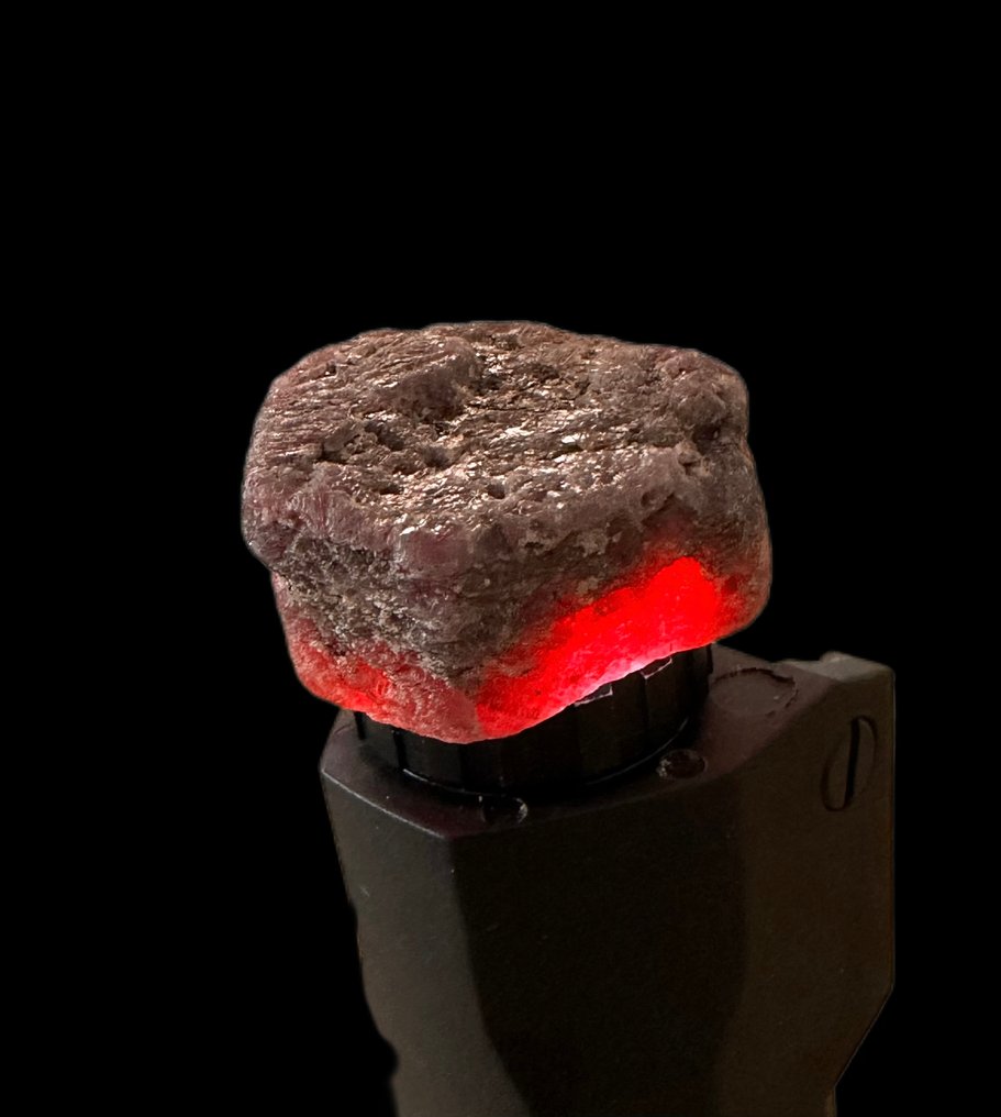 Ruby Rough. 131,60 Ct. Mozambique Huge Blood Ruby. Natural, 100% Special - Height: 28 mm - Width: 26 mm- 26.32 g #1.0