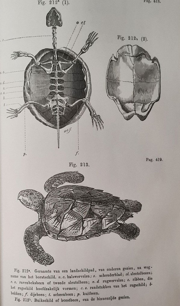 Jacobus Albertus Uilkens - De volmaaktheden ...beschouwd...tot bevordering van nuttige natuurkennis - 1852 #3.2