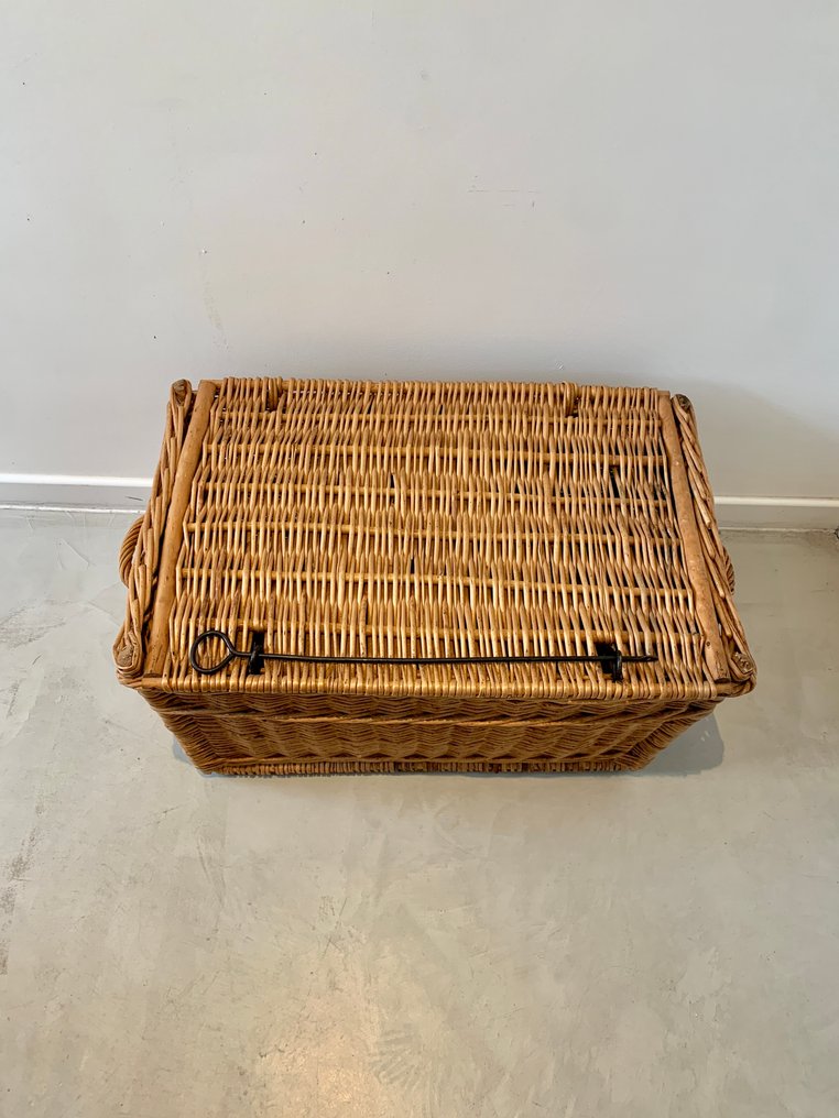 篮子 - 藤 - Groot #4.3