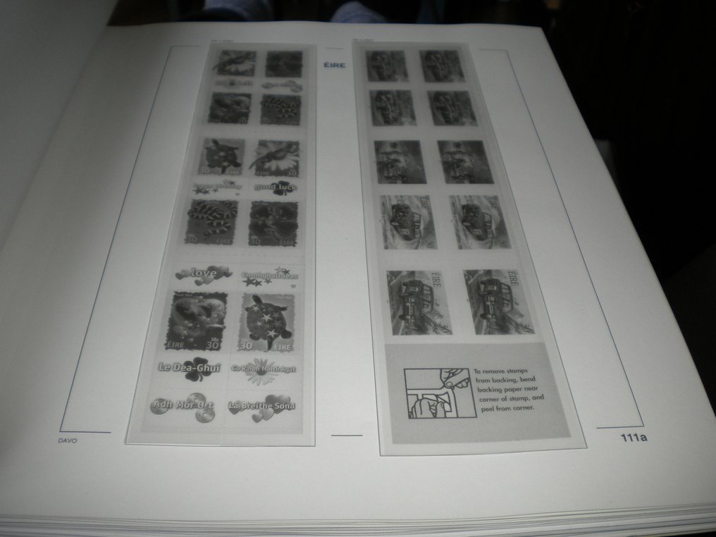 爱尔兰  - 爱尔兰2000年至2006年的豪华绗缝超棒专辑，晶莹剔透。 #3.2