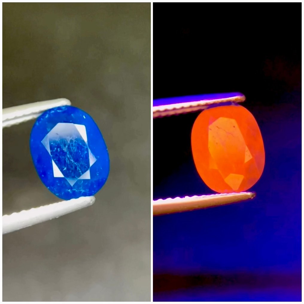 χωρίς τιμή ασφαλείας - 1 pcs  Μπλε Διάφοροι πολύτιμοι λίθοι  - 1.65 ct - Διεθνής Ένωση Έγχρωμων Πολύτιμων Λίθων (ICA GemLab) - Φυσικό Hauyne #4.3