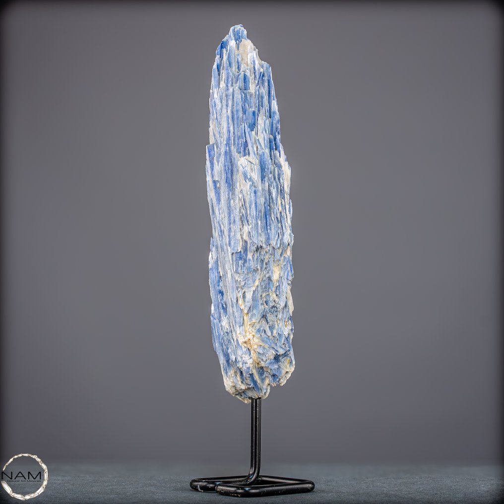 来自巴西的天然蓝晶石水晶 – 清晰和内心平衡的天柱- 823.79 g #4.3