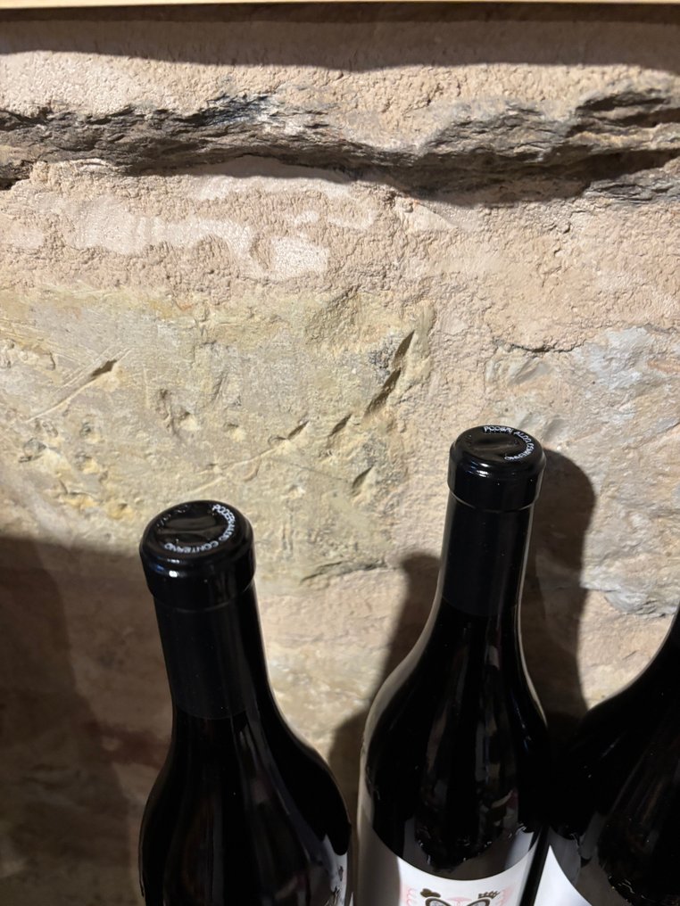 2021 x2 Cicala, 2021 x2 Colonnello & 2021 x2 Bussia, Aldo Conterno - Barolo - 6 Bottles (0.75L) #4.3