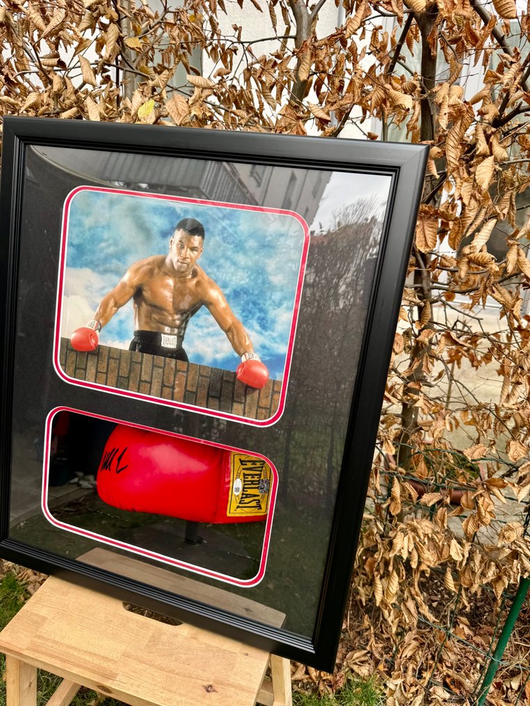 Mike Tyson - Boxing gloves #1.0