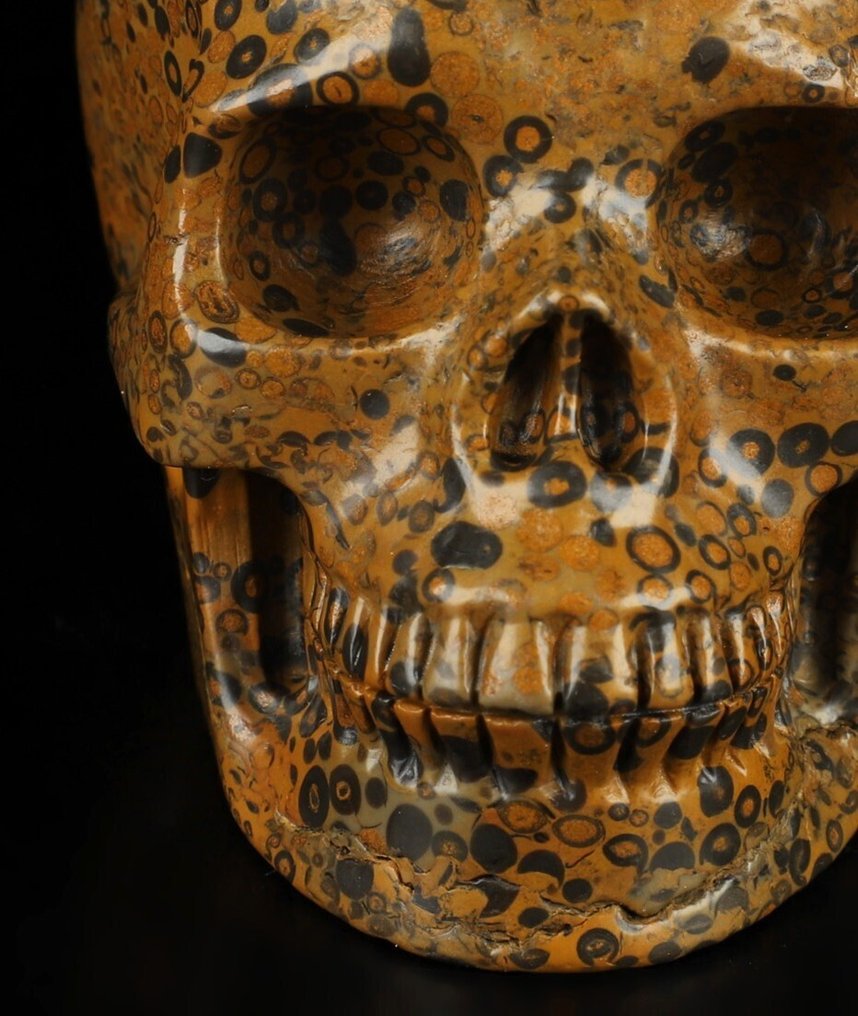 Jasper 678 g 9,80 x 7,50 cm Mexikói AA Jasper Magic Műalkotás sámánikus leopárd bőr Jasper- 678 g #3.2