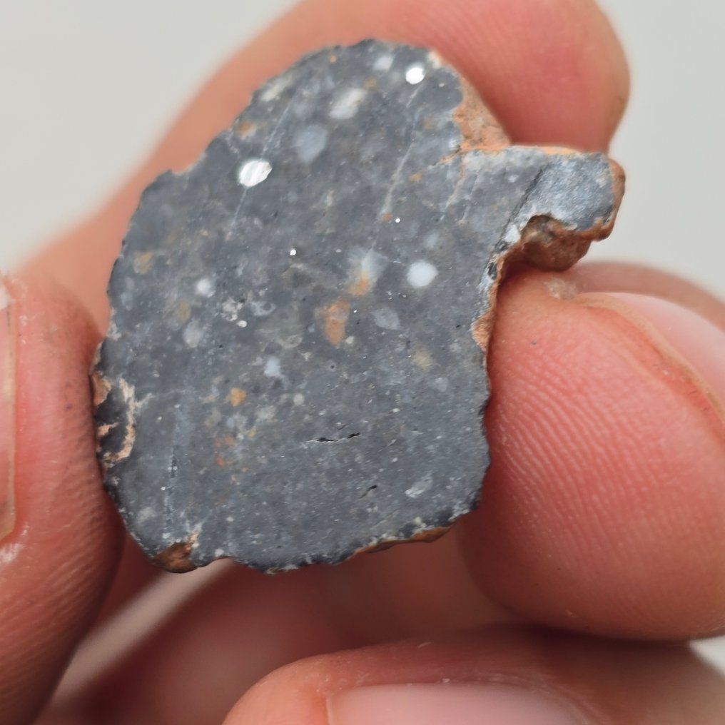 Lunar Meteorite Bechar 003. Endcut. Großes Oberflächen-/Massenverhältnis. KEIN RESERVE!! Feldspathic Breccia - 2.8 g #2.1