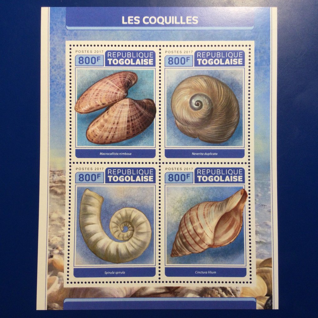 Κόσμος - Κοχύλια και κοράλλια #1.0