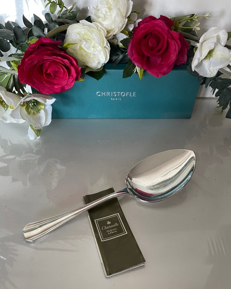 Christofle - Spoon - Boréal ice scraper model Luc Lanel - Silver metal #1.0