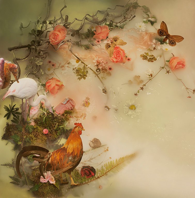 Mariska Karto - True or false - XXL #1.0