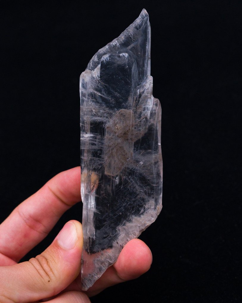 ZONED floater Gypsum Var.Selenite RARE LOCALITY Specimen!!! - Height: 13.5 cm - Width: 3.9 cm- 95 g - (1) #1.0