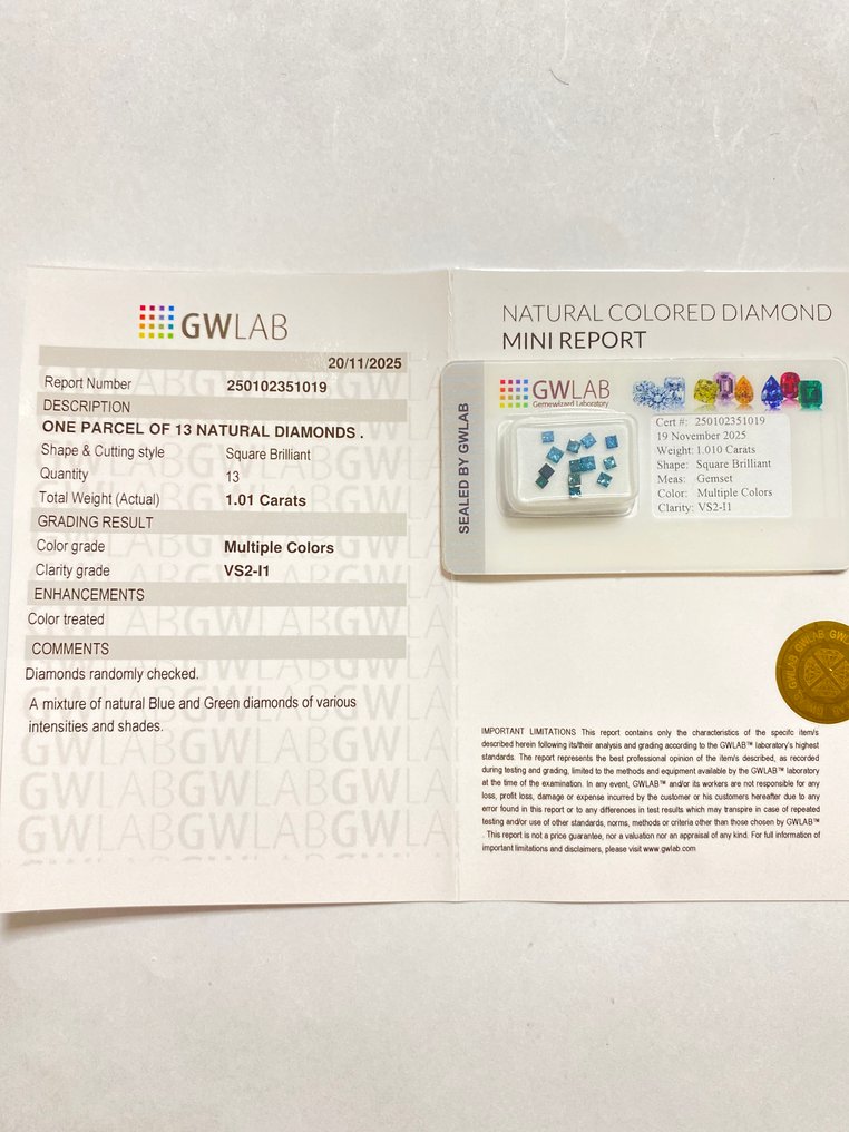 没有保留价 - 13 pcs 钻石 (经彩色处理) - 1.01 ct - 方形 - VS2 轻微内含二级, I1 内含一级 - Gemewizard宝石实验室(GWLab) #4.3