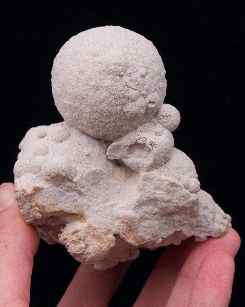 Calcite var. Sand calcite Espanjasta!!! - Korkeus: 9.9 cm - Leveys: 7.7 cm- 376 g - (1) #4.3