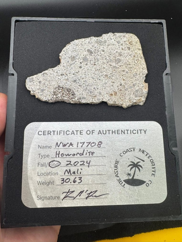 Howardite Météorite d'Achondrite - 30.63 g #1.0