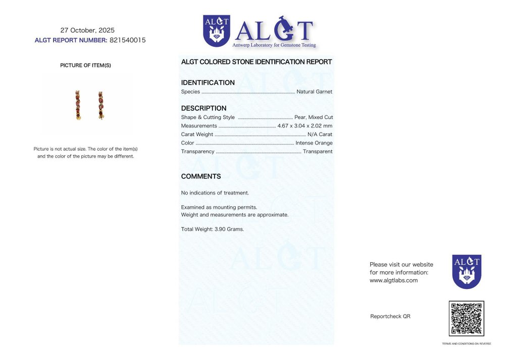 Senza Prezzo di Riserva - Orecchini Argento - Garnet - Certificato #2.1