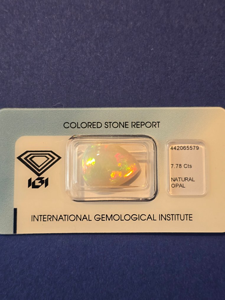 Nincs minimálár - 1 pcs  Fehér, Többszínű Opál  - 7.78 ct - Nemzetközi Gemmológiai Intézet (IGI) #2.1