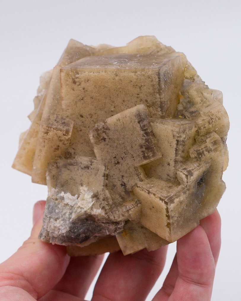 Fluorite incluse avec argile avec de grands cubes - Hauteur : 9.3 cm - Largeur : 10.5 cm- 615 g - (1) #2.1