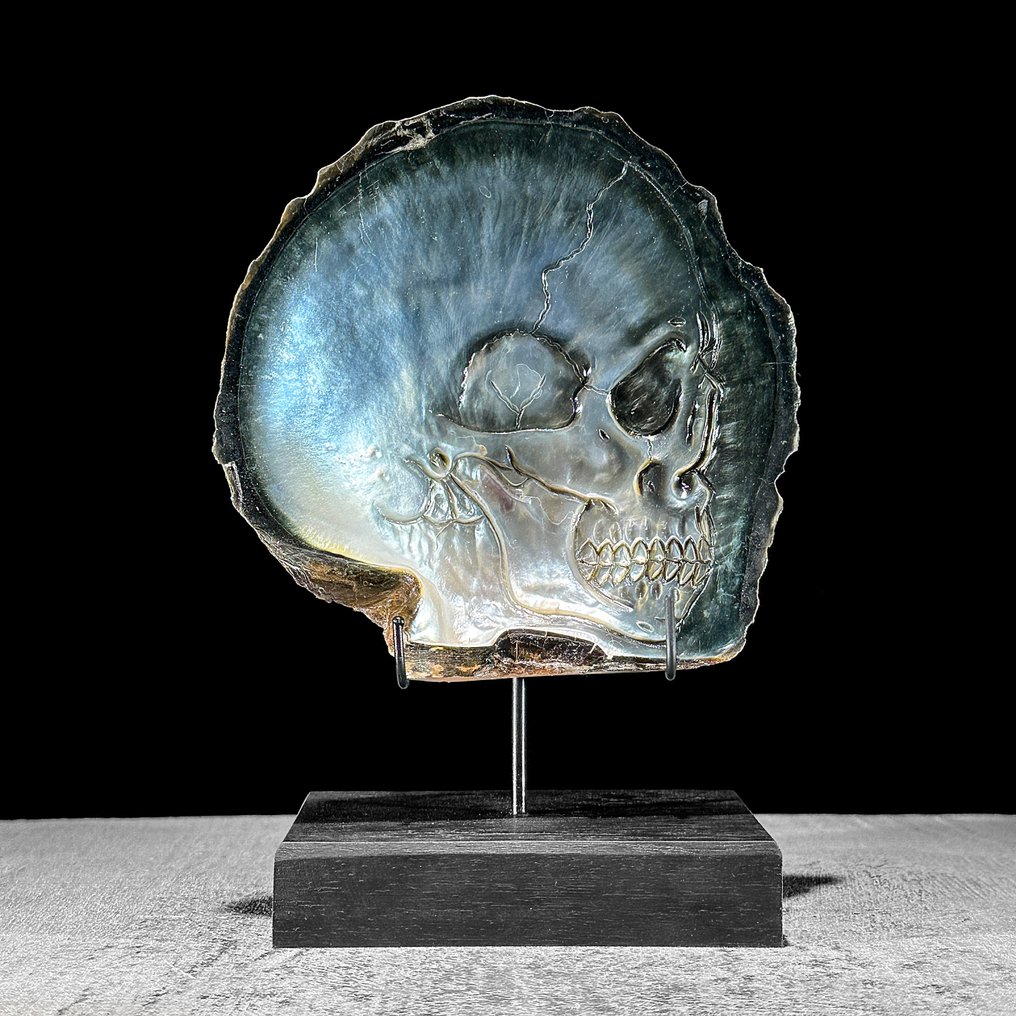 Snijwerk, NO RESERVE PRICE - Intricately Carved Mother of Pearl Shell - Human Skull Motif - 17 cm - Schelp - 2025 #1.0