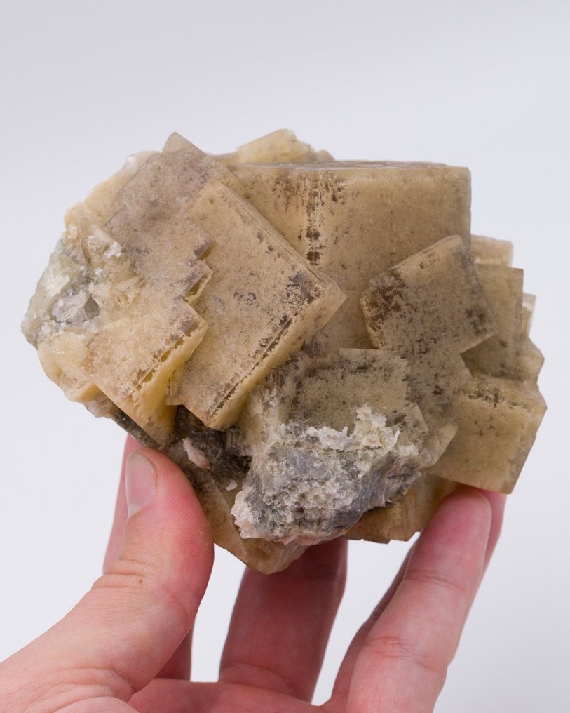 Fluorite incluse avec argile avec de grands cubes - Hauteur : 9.3 cm - Largeur : 10.5 cm- 615 g - (1) #1.0