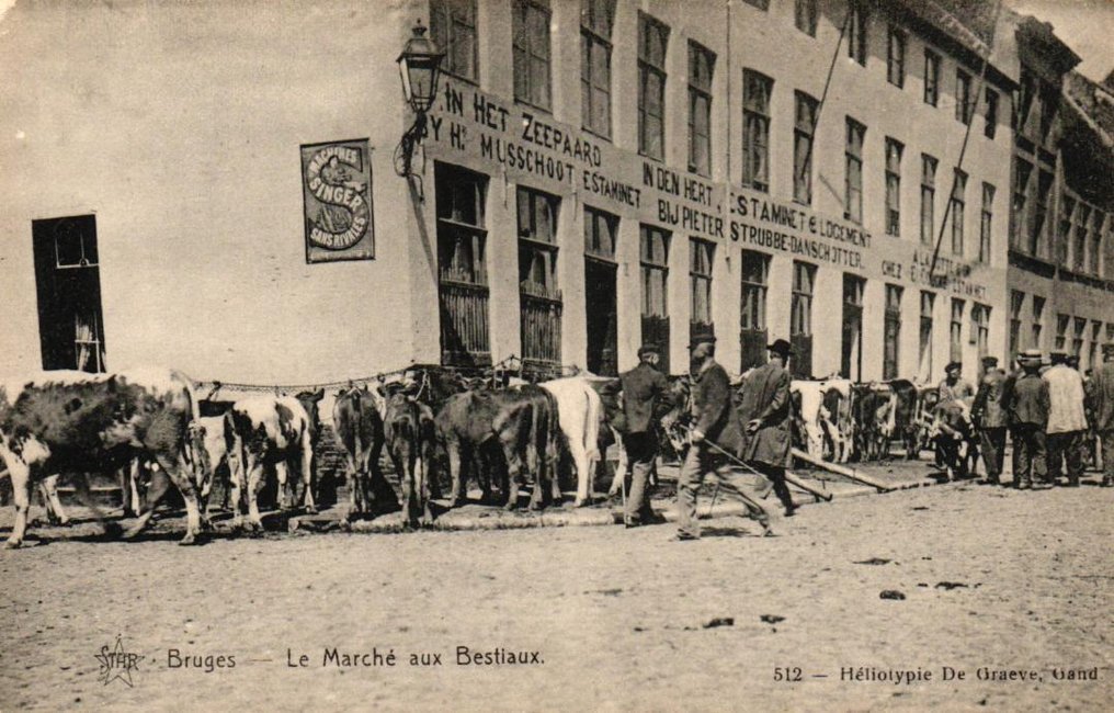 Belgium - City & Landscape - City of Brugge - Selected Rare Cards - Postcard (130) - 1960-1902 #1.0