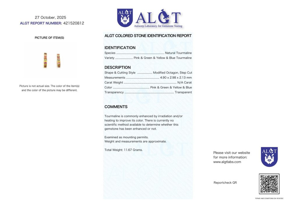 Zonder Minimumprijs - Oorbellen Zilver - Tourmaline - Gecertificeerd #2.1