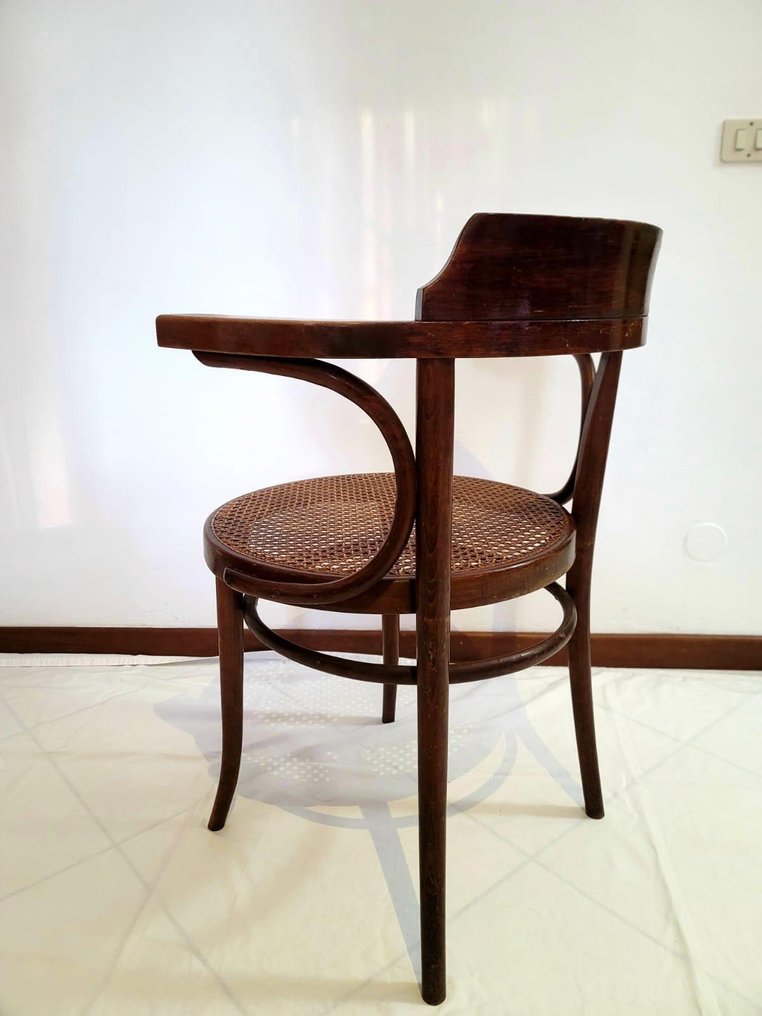 Stol - Træ, PAGLIA DI VIENNA - Sedia Ligna #3.2