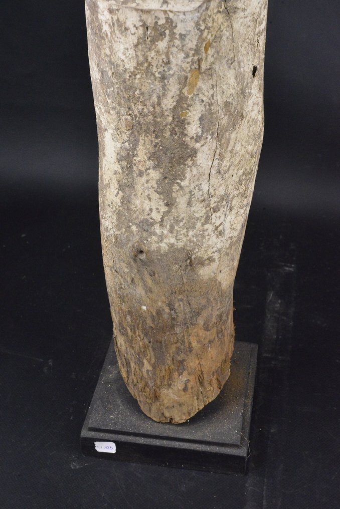 Statue vaudou / vodoo - fon - Benin #2.1