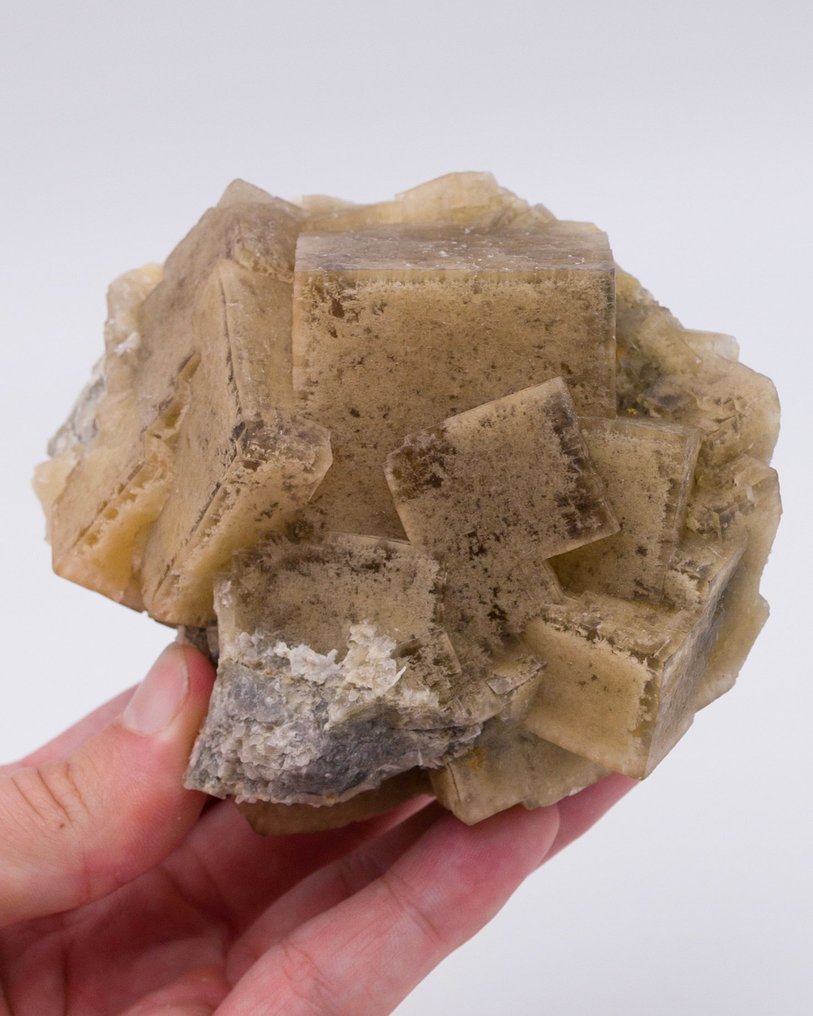 Fluorite incluse avec argile avec de grands cubes - Hauteur : 9.3 cm - Largeur : 10.5 cm- 615 g - (1) #3.2