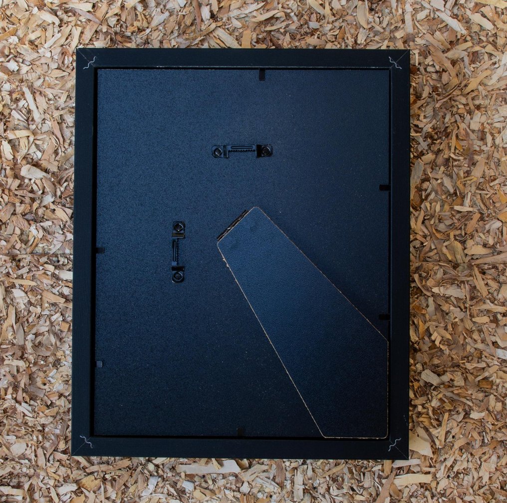 Chauve-souris Support de corps entier pour taxidermie - Cynopterus sphinx - 28.5 cm - 23.5 cm - 6 cm - Espèces non-CITES #4.3