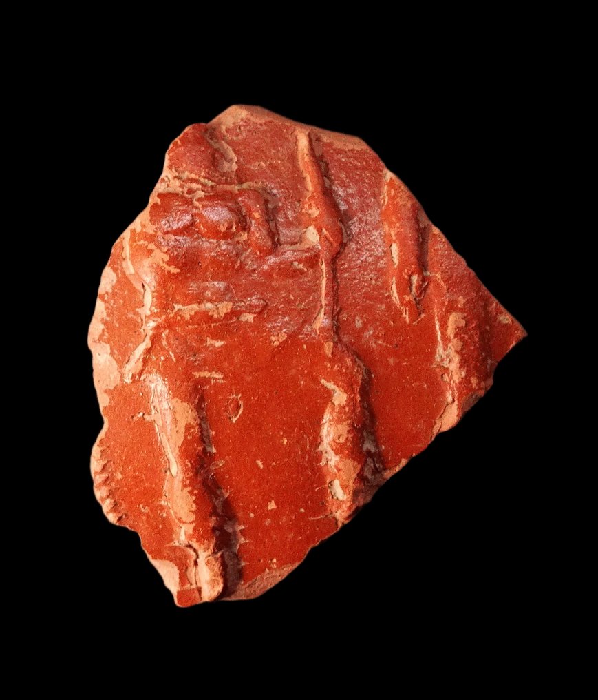 古罗马 陶器碎片 - 装饰性高卢-罗马陶器碎片 - 1/3世纪后期  (没有保留价) #1.0