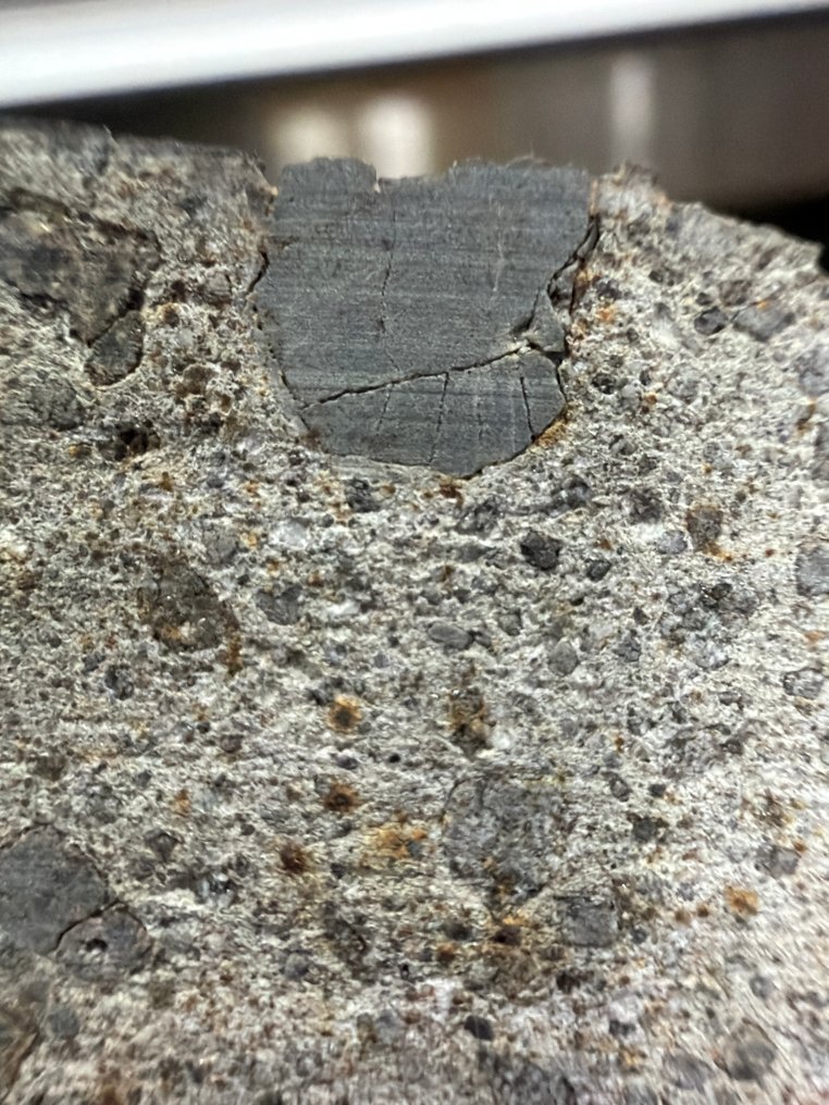 Howardite Météorite d'Achondrite - 30.63 g #4.3