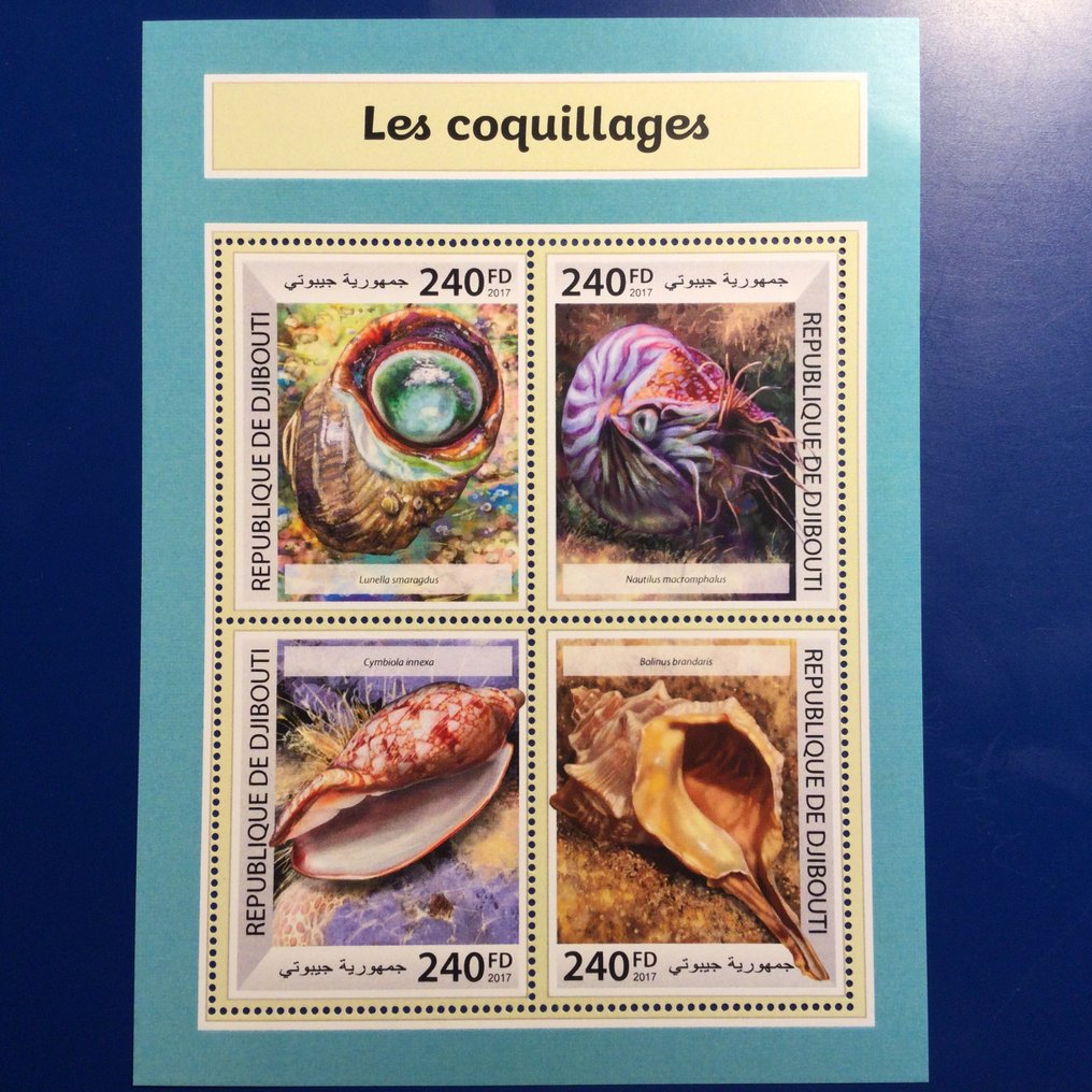 Κόσμος - Κοχύλια και κοράλλια #3.2